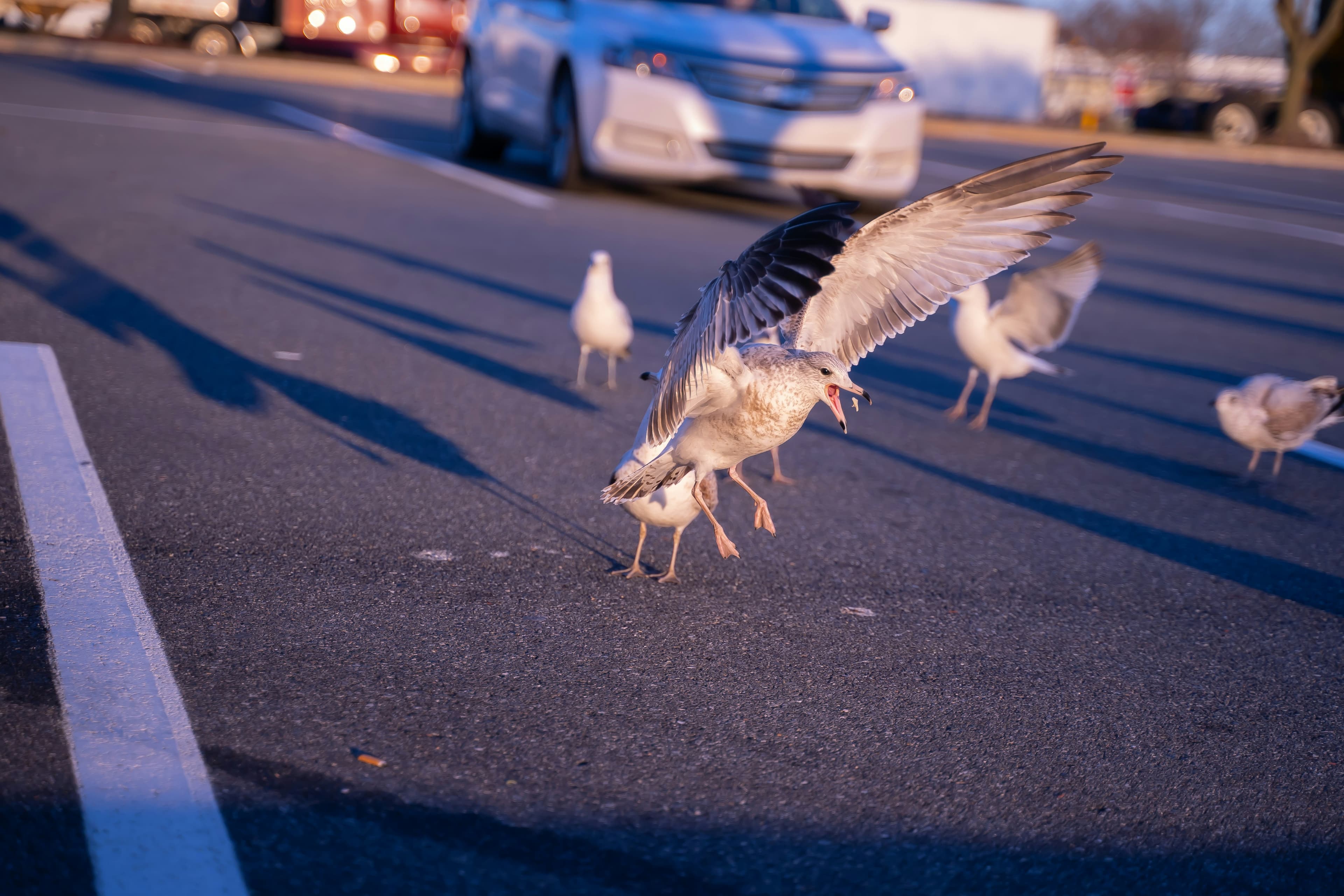 Wilmington, DE cityscape