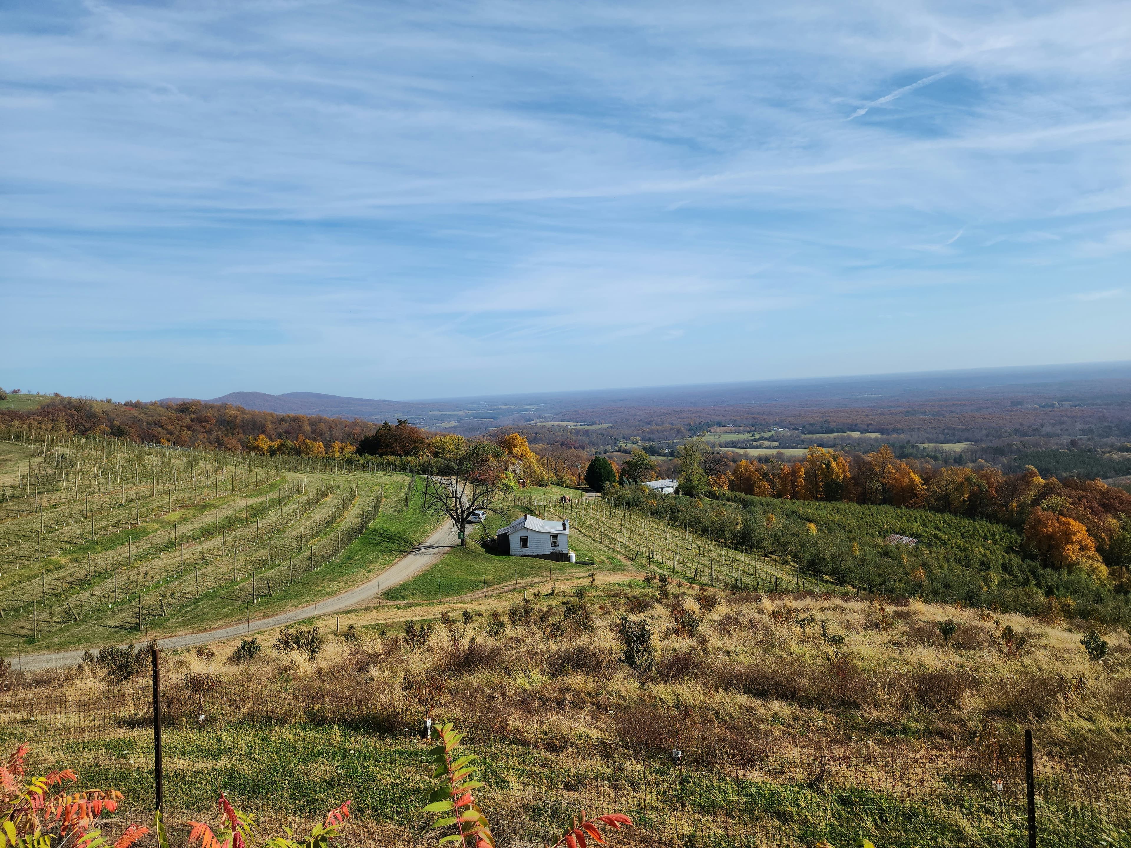 Charlottesville, VA cityscape